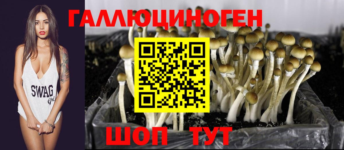 Кстово  Псилоцибиновые грибы Psilocybe  Вход с VPN 